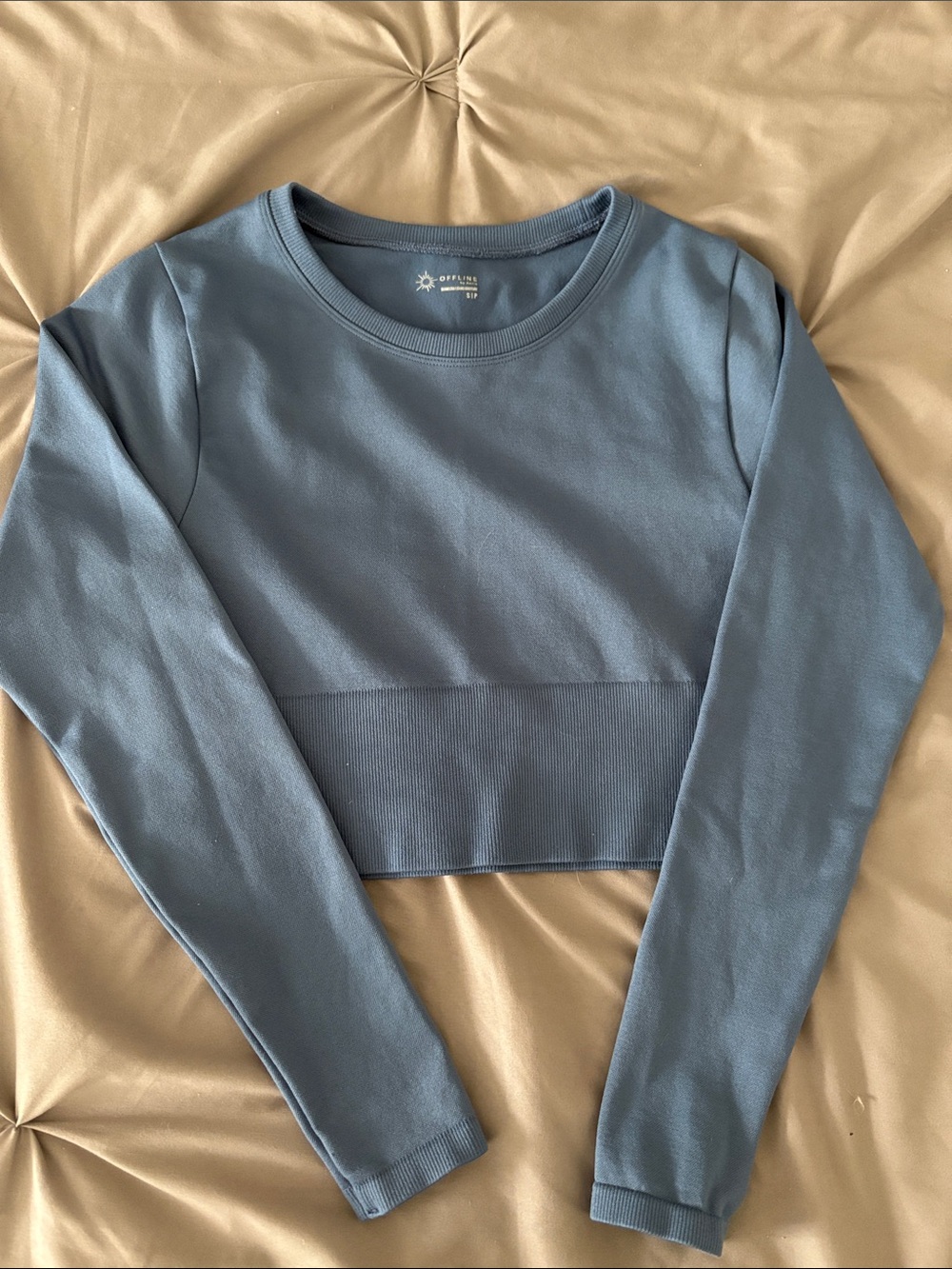 Offline by Aerie Seamless Cropped Blue Long Sleeve Blue Workout Top, Size Small
